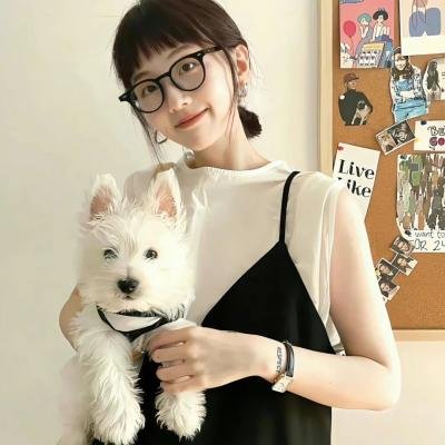 不死鸟之恋